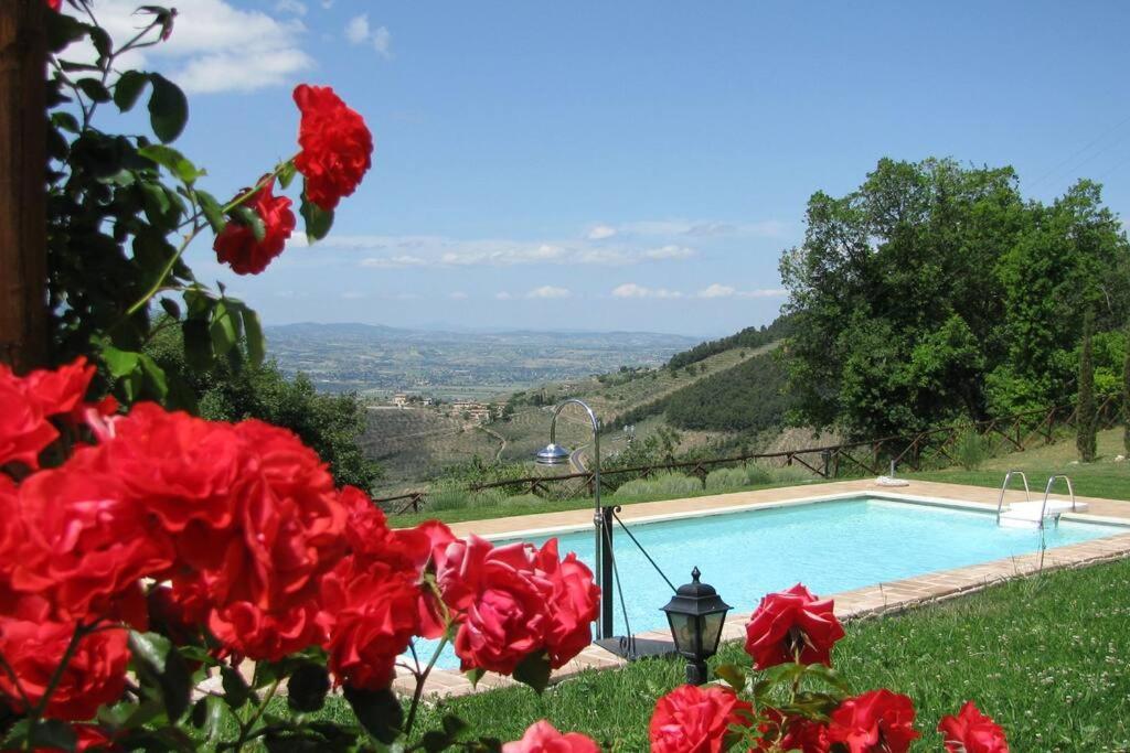 All Stone Horse Stable Converted To Elegant Apartment - Baltimora Spoleto Exteriér fotografie